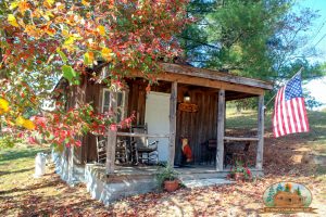 Fox Den Cabin