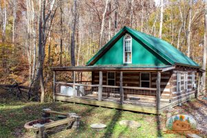 Montana Cabin
