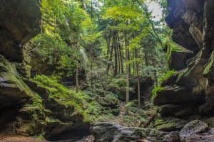 Explore Hocking Hills State Park in Ohio