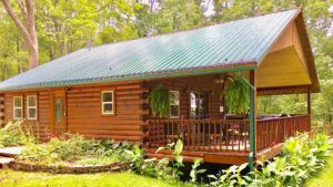 Forest Edge Cabin