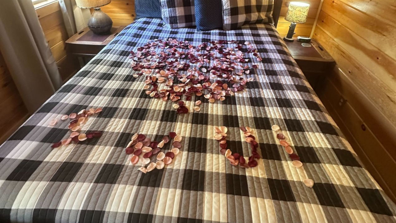 Bed of Rose Petals 3