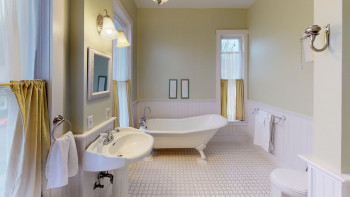 Tulip Tree Room 11