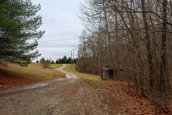 Hawk's Nest Cabin 10