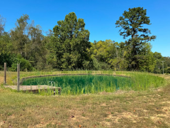 Rusty Lantern Cabin 34