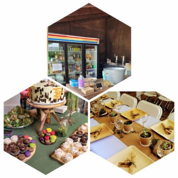 Hocking Hills Wedding Destination 6 Hocking Hills Wedding Destination