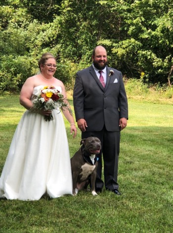 Hocking Hills Wedding Destination 44 Hocking Hills Wedding Destination