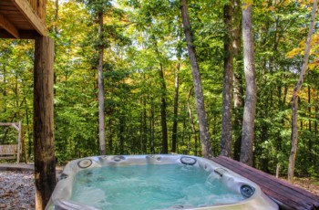 Cavalier Cabin 16