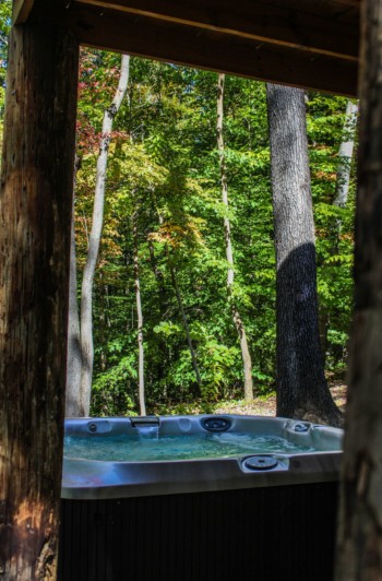 Cavalier Cabin 17