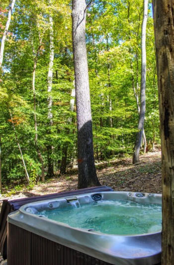 Cavalier Cabin 18