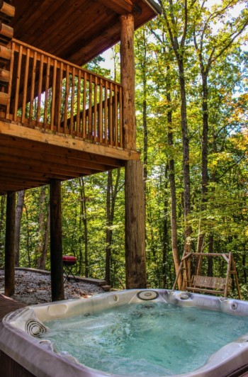 Cavalier Cabin 25