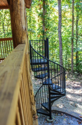 Cavalier Cabin 28