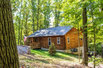 Cavalier Cabin 8