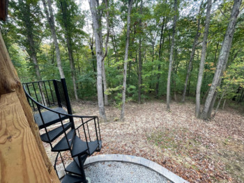 Cavalier Cabin 31