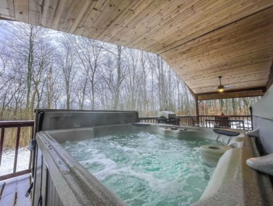 Forest Edge Cabin 20