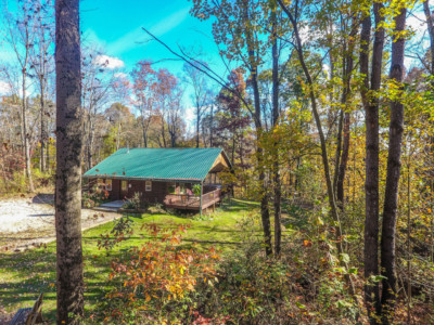 Forest Edge Cabin 11