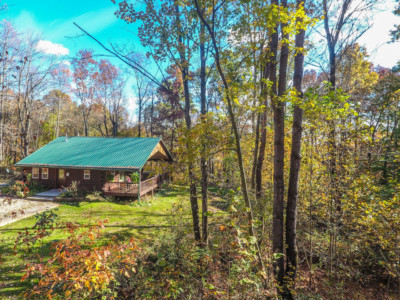 Forest Edge Cabin 10