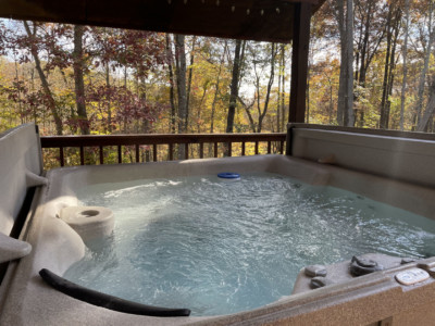 Forest Edge Cabin 18